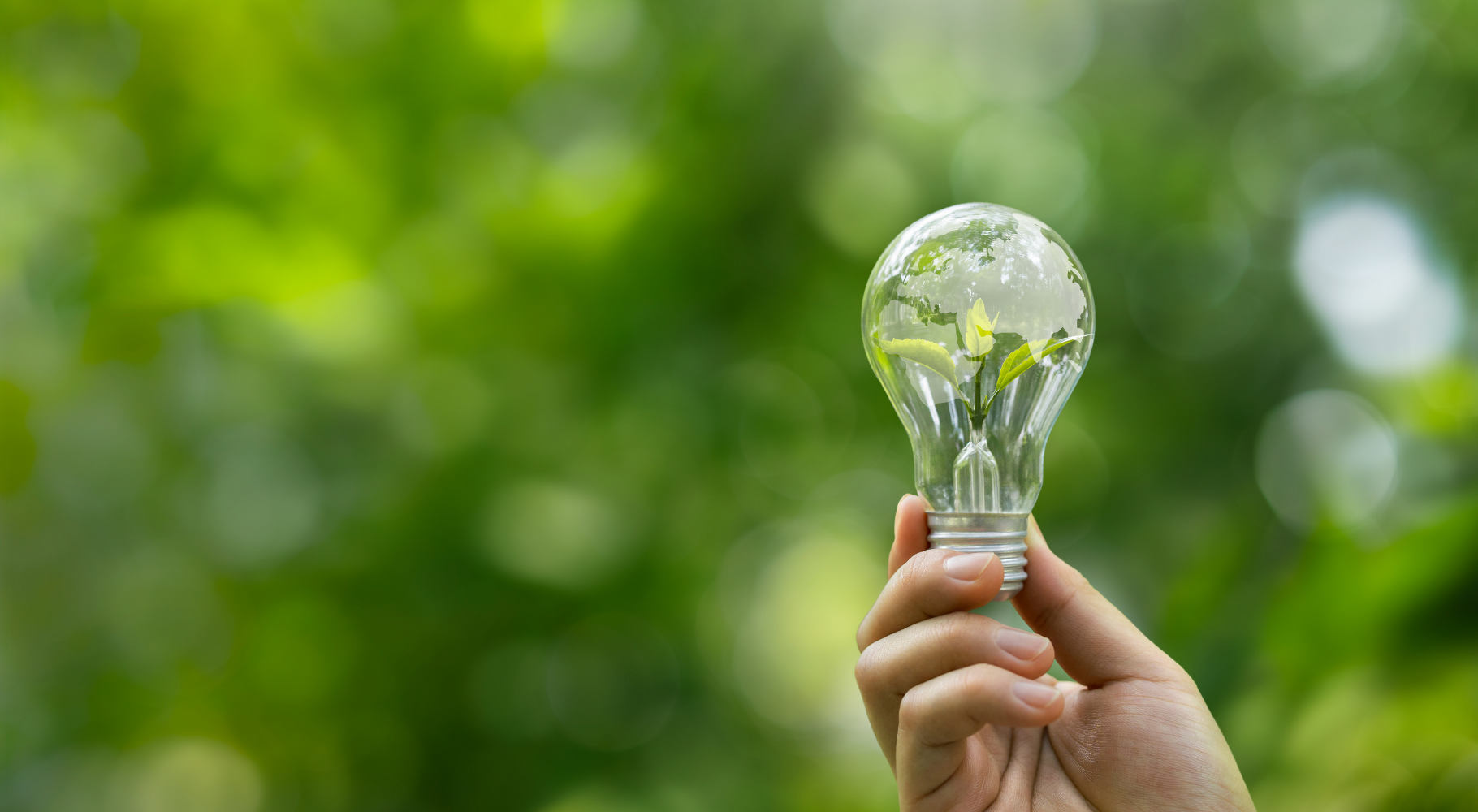 Digital Strategy & Transformation